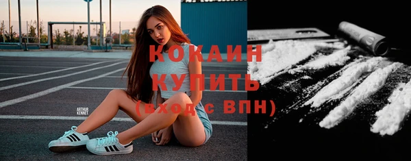 гашик Вязьма