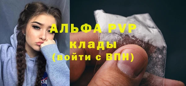 гашик Вязьма
