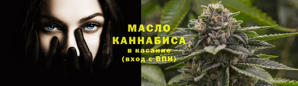 гашик Вязьма